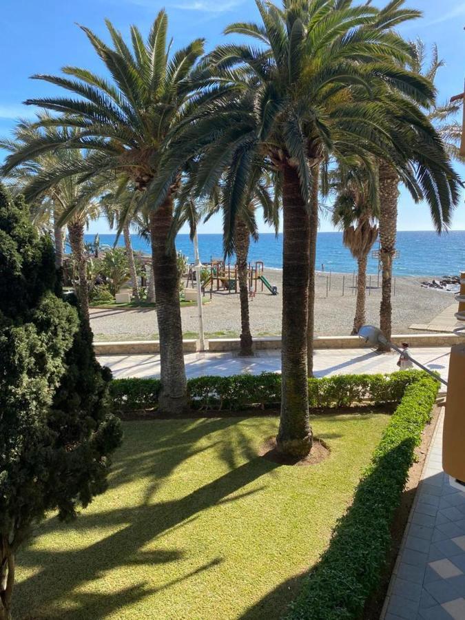 Las Palmeras Algarrobo Costa Exterior photo